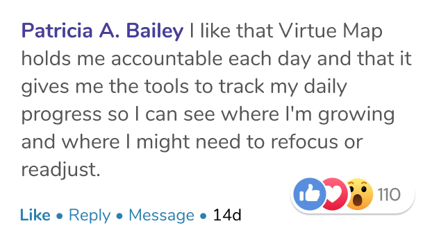 Virtue Map Review - Patricia A Bailey